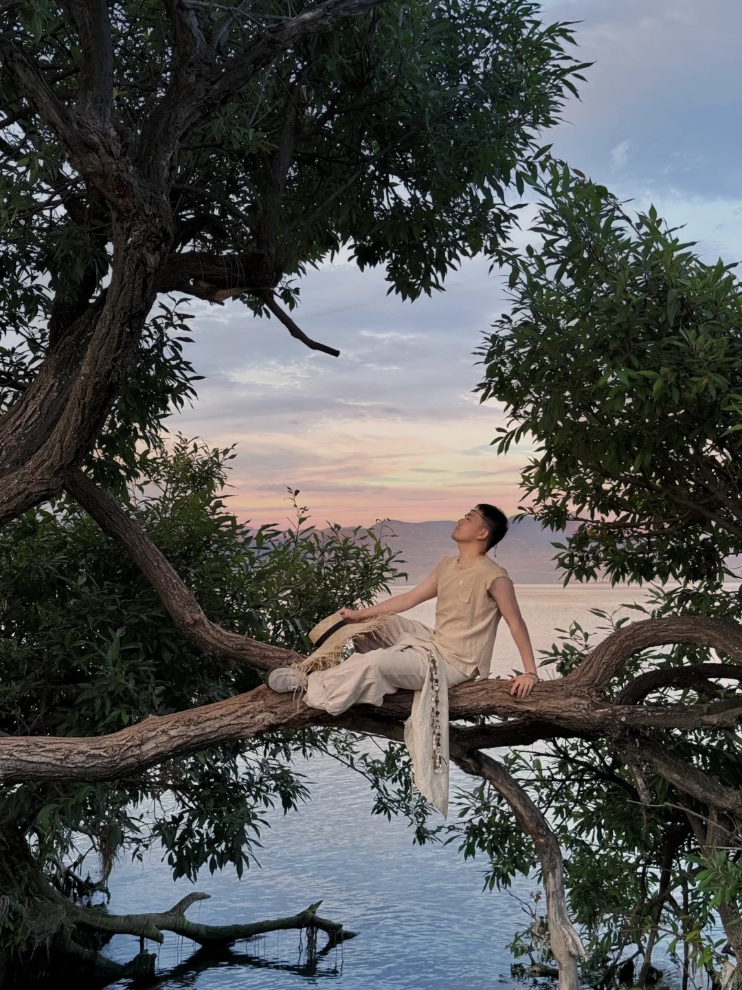 为了这9️⃣颗树！！我愿意再去一次云南！！！_2_比先生要早睡_云南-来自52tours 我爱旅游网